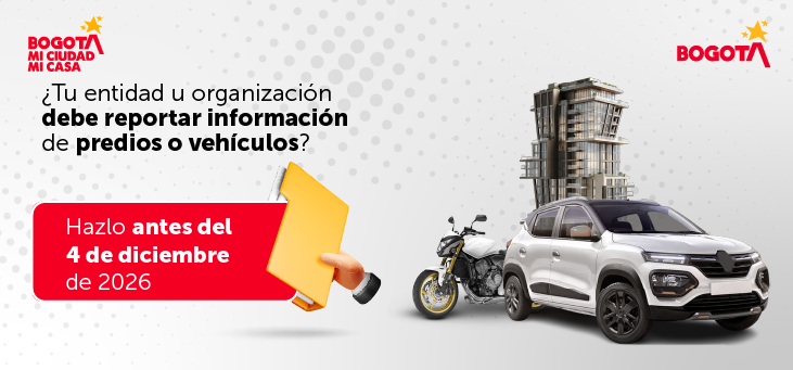 Reporte de informeación de predios y vehículos