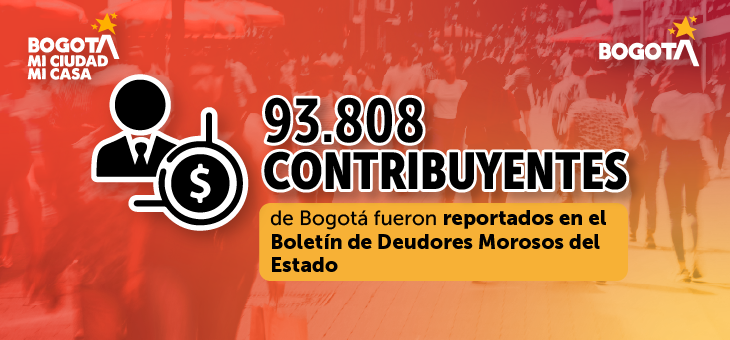 Boletín de Deudores Morosos del Estado