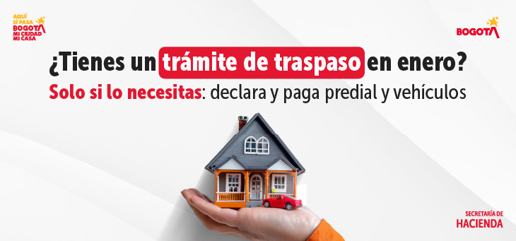 Guía para declarar y pagar impuestos predial y vehículos en enero por trámites