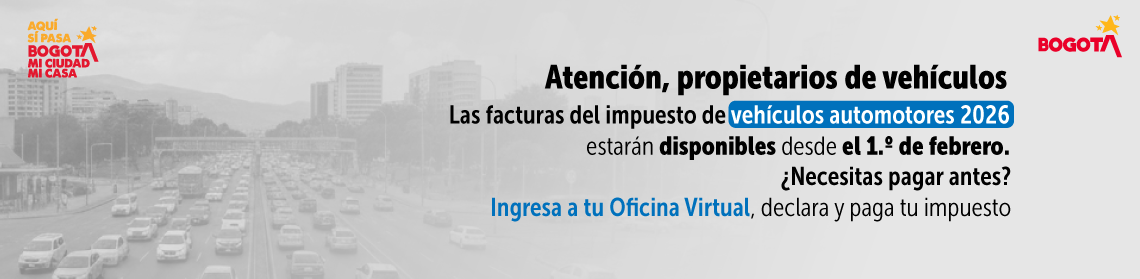 Facturas vehículos 2026