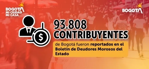 Boletín de Deudores Morosos del Estado