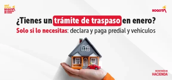 Guía para declarar y pagar impuestos predial y vehículos en enero por trámites