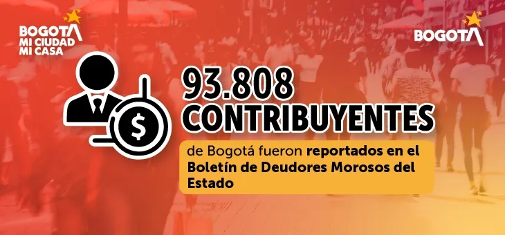 Boletín de Deudores Morosos del Estado